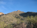 photo thumbnail #1