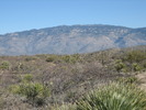 photo thumbnail #2