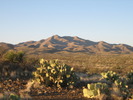 photo thumbnail #6