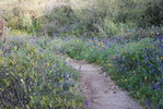 photo thumbnail #1