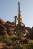photo thumbnail #3