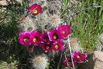 photo thumbnail #9
