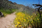 photo thumbnail #10