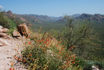 photo thumbnail #14