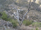 photo thumbnail #1