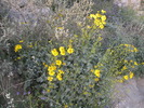 photo thumbnail #10