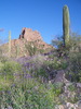 photo thumbnail #7