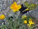 photo thumbnail #5