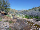 photo thumbnail #14