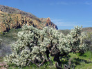 photo thumbnail #15
