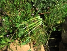 Featured Detail Photo