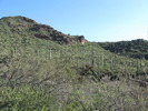 photo thumbnail #1