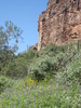 photo thumbnail #9