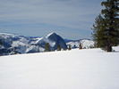photo thumbnail #1