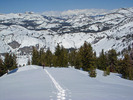 photo thumbnail #7