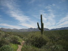 photo thumbnail #1