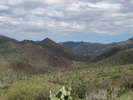 photo thumbnail #5