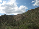 photo thumbnail #7