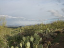 photo thumbnail #8