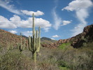 photo thumbnail #9
