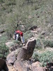 photo thumbnail #2