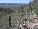 photo thumbnail #4