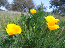 photo thumbnail #3