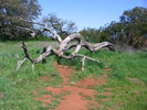photo thumbnail #5