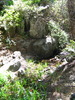 photo thumbnail #15