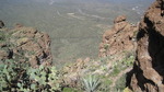 photo thumbnail #2
