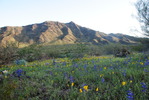 photo thumbnail #2