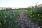 photo thumbnail #3