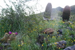 photo thumbnail #4