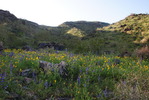 photo thumbnail #5