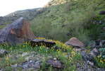 photo thumbnail #6
