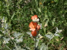 photo thumbnail #8