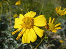 photo thumbnail #2