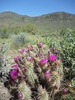 photo thumbnail #8