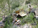 photo thumbnail #13