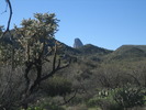 photo thumbnail #2