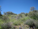 photo thumbnail #5