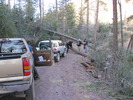 photo thumbnail #1