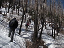 photo thumbnail #11