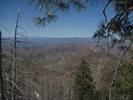 photo thumbnail #13