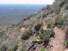 photo thumbnail #13