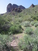 photo thumbnail #15