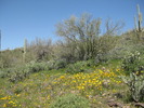 photo thumbnail #6