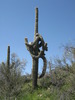 photo thumbnail #7