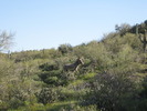 photo thumbnail #13