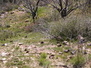 photo thumbnail #9
